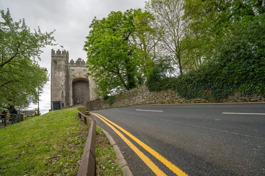 Road leading to the Bunratty castle on a cloudy day, county Clare, Ireland