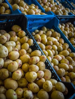 A pile of potatoes on sale on a market in Ponta Delgada, Azores, Porugal