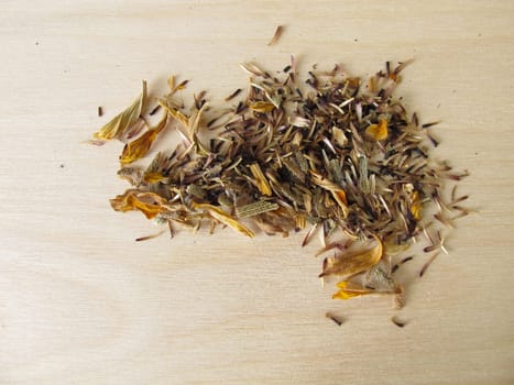 Self-extracted seeds of coneflower flowers