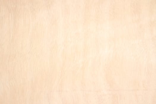 Wood texture background close up for your art