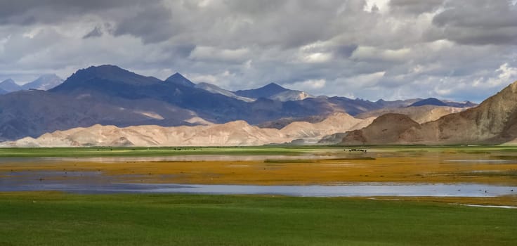 Wetlands and lake forming part of the beautiful landscape of Western Tibet