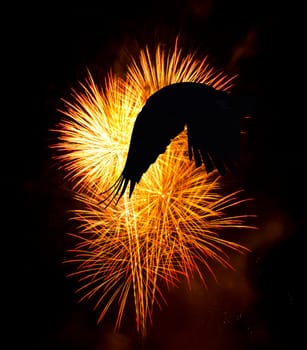 Fireworks show with silhouette of a flying raven - London, United Kingdom