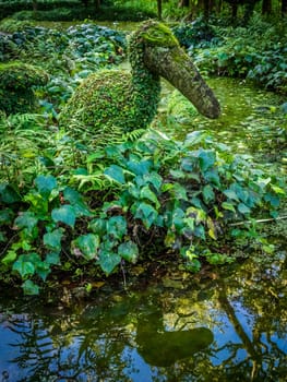 Moss covered bird sculpture in The Terra Nostra Garden in Furnas,  on Sao Miguel island, Azores, Portugal