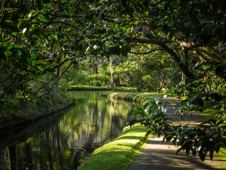 Walking path in The Terra Nostra Garden in Furnas,  on Sao Miguel island, Azores, Portugal