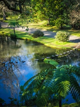 Walking path in The Terra Nostra Garden in Furnas,  on Sao Miguel island, Azores, Portugal