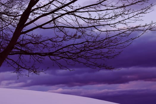 Winter sunset in front of a cloudy sky with a tree in ultra violet