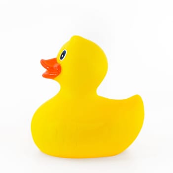 Rubber duck yellow toy for swimming isolated on white background