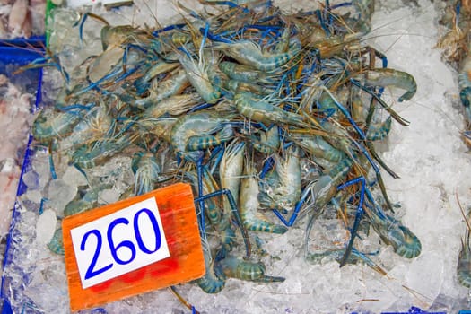 Many live freshwater prawns In the ice Price tag (baht)