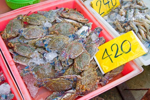 Horse crab freeze in the pink pickup and price tag