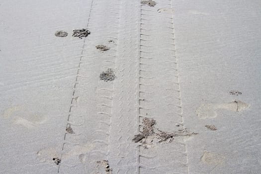 Footprint wheel on cream sand