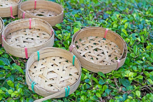 Bamboo fish tank on the green grass