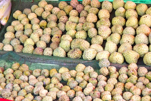 Many custard apple green in a basket