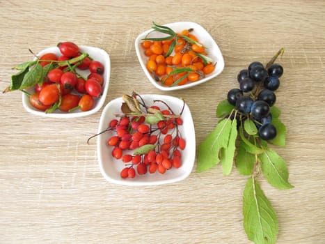 Edible wild fruits in autumn with sloe,barberry,Sanndorn and rosehip