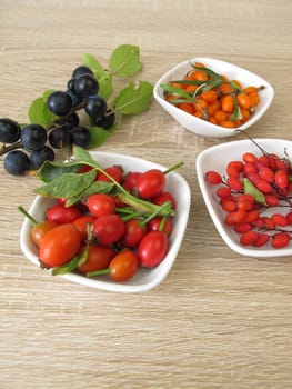Edible wild fruits in autumn with sloe,barberry,Sanndorn and rosehip