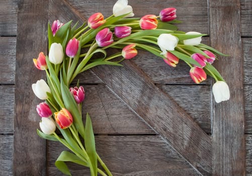 Background of rustic wood with colorful tulips