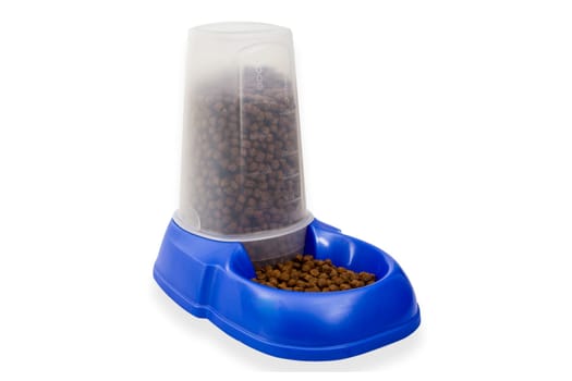 Dog bowl exposed on white background
