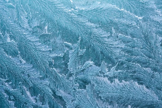 Iceflowers, frozen.The ice-cold frost forms ice crystals in beautiful unique patterns
