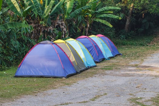 Camping in the wilderness, tent on campground in morning