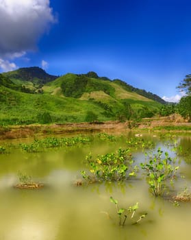 Beautiful landscape, pond on the foreground. Vang Vieng, Laos.