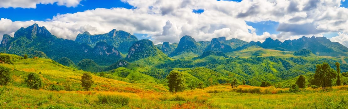 Beautiful rural landscape, mountain on background. Vang Vieng, Laos. Panorama