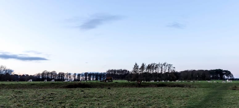 Sunset over the Tatton Park with herd of deer in background - Tatton Park Gardens,  Knutsford, United Kingdom