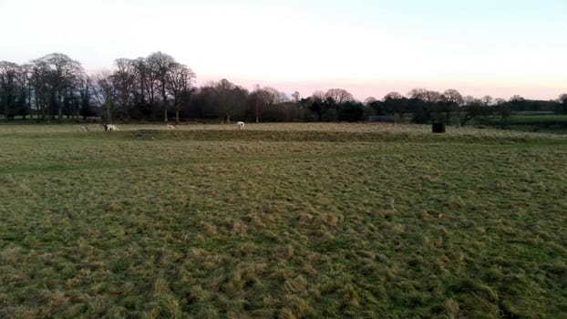 Sunset over the Tatton Park with herd of deer in background - Tatton Park Gardens,  Knutsford, United Kingdom