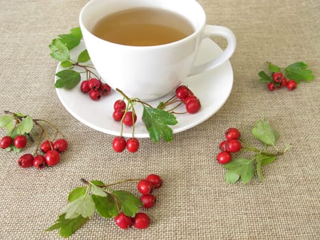 Herbal tea with hawthorn