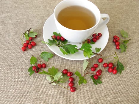 Herbal tea with hawthorn