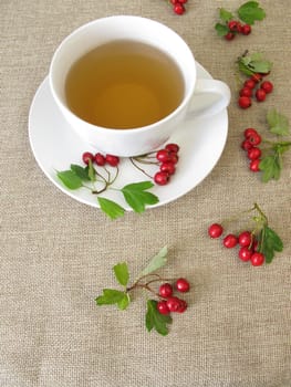 Herbal tea with hawthorn