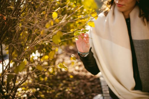 Portrait of young woman walking outdoors on warm autumn afternoon. Touches the leaves with fingers