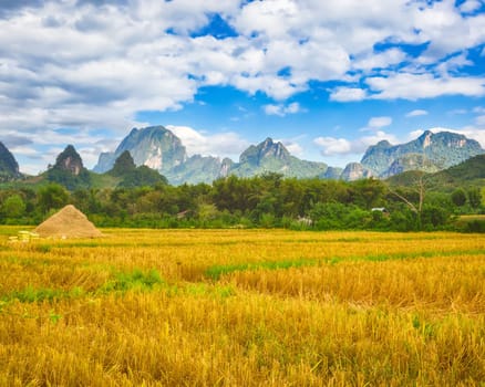 Rice field and mountains. Beautiful rural landscape. Vang Vieng, Laos.