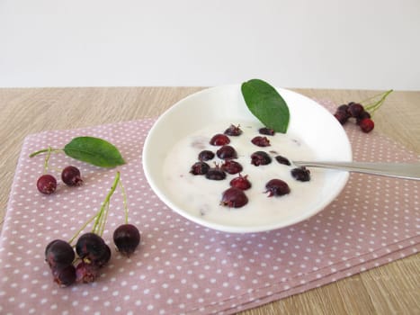 Homemade yogurt with rock pears