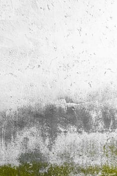 Dirty fungus or mold on the wall texture background