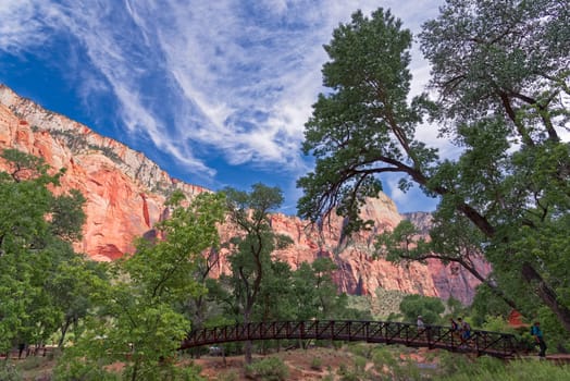 Canyon in the state of Utah southwest of the United States. Impressive rock formations and deep gorges engraved and shaped by the strength of the waters of the Virgin river.