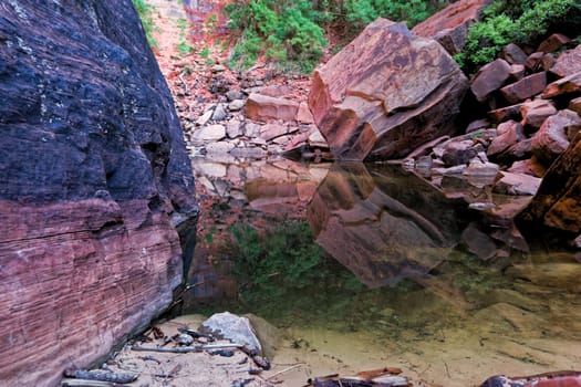 Water reflection of rock mountains in the pond from Upper Emerald Pool Trail, near Zion Lodge, Zion National Park
