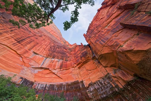 Canyon in the state of Utah southwest of the United States. Impressive rock formations and deep gorges engraved and shaped by the strength of the waters of the Virgin river.