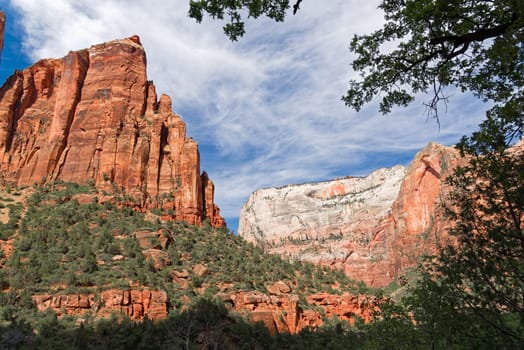 Canyon in the state of Utah southwest of the United States. Impressive rock formations and deep gorges engraved and shaped by the strength of the waters of the Virgin river.