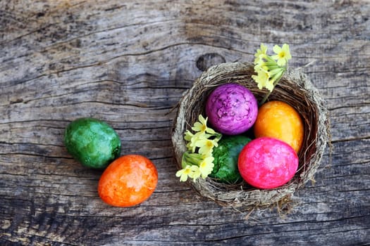 Happy Easter! An Easter nest with colorful Easter eggs and key flowers