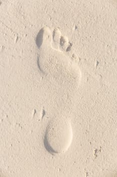 Photo of footprint in the sand. Beach holiday concept.