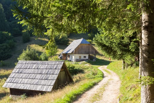 Traditional old wooden hut cabin in mountain alps at rural landscape in slovenian Julian Alps, Slovenia.