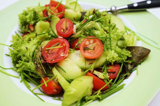 Mixed salad on a plate