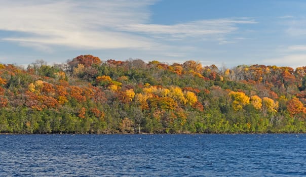 Fall Colors Across the St Croix River from Afton State Park in Minnesota