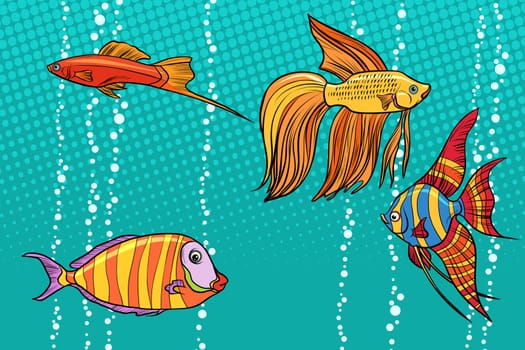 Set collection of aquarium fish. Pop art retro vector illustration
