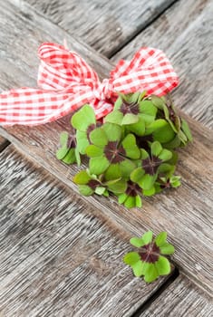 Small bouquet of gluecksklee with red bow