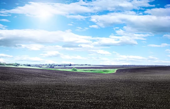 Field plowed, sown cereals. Plowed field in spring day. Black soil plowed field. Plowed field in the blue sky.