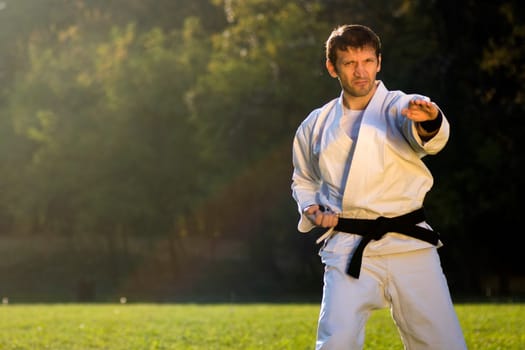The karate master is practicing outdoors in the park.