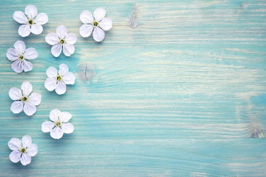 spring flowers on wooden background. spring blossom. copy space. top view