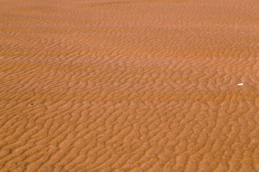 The Red sand of the Pink Rock Desert, Sharjah, Dubai, UAE