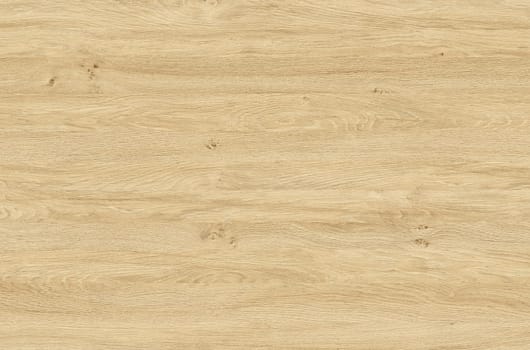 Brown wood texture. Abstract wood texture background.
