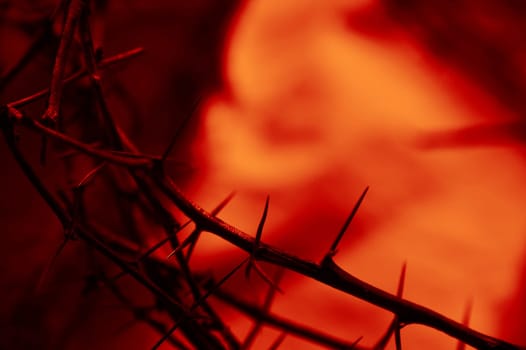 blood red crown of thorns up close with old wooden beam on cloth